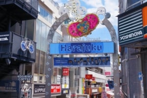 Tokyo Pop Culture & Tradition Tour: Meiji Shrine to Harajuku