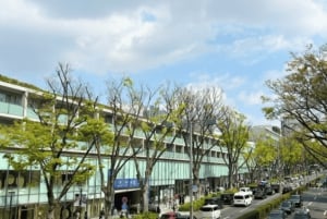 Tokyo Pop Culture & Tradition Tour: Meiji Shrine to Harajuku