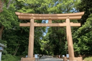 Tokyo Pop Culture & Tradition Tour: Meiji Shrine to Harajuku