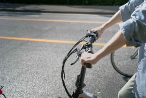 Tokyo : visite privée de 2 heures à vélo électrique des temps forts de la ville
