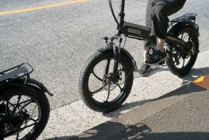 Tokyo : visite privée de 2 heures à vélo électrique des temps forts de la ville