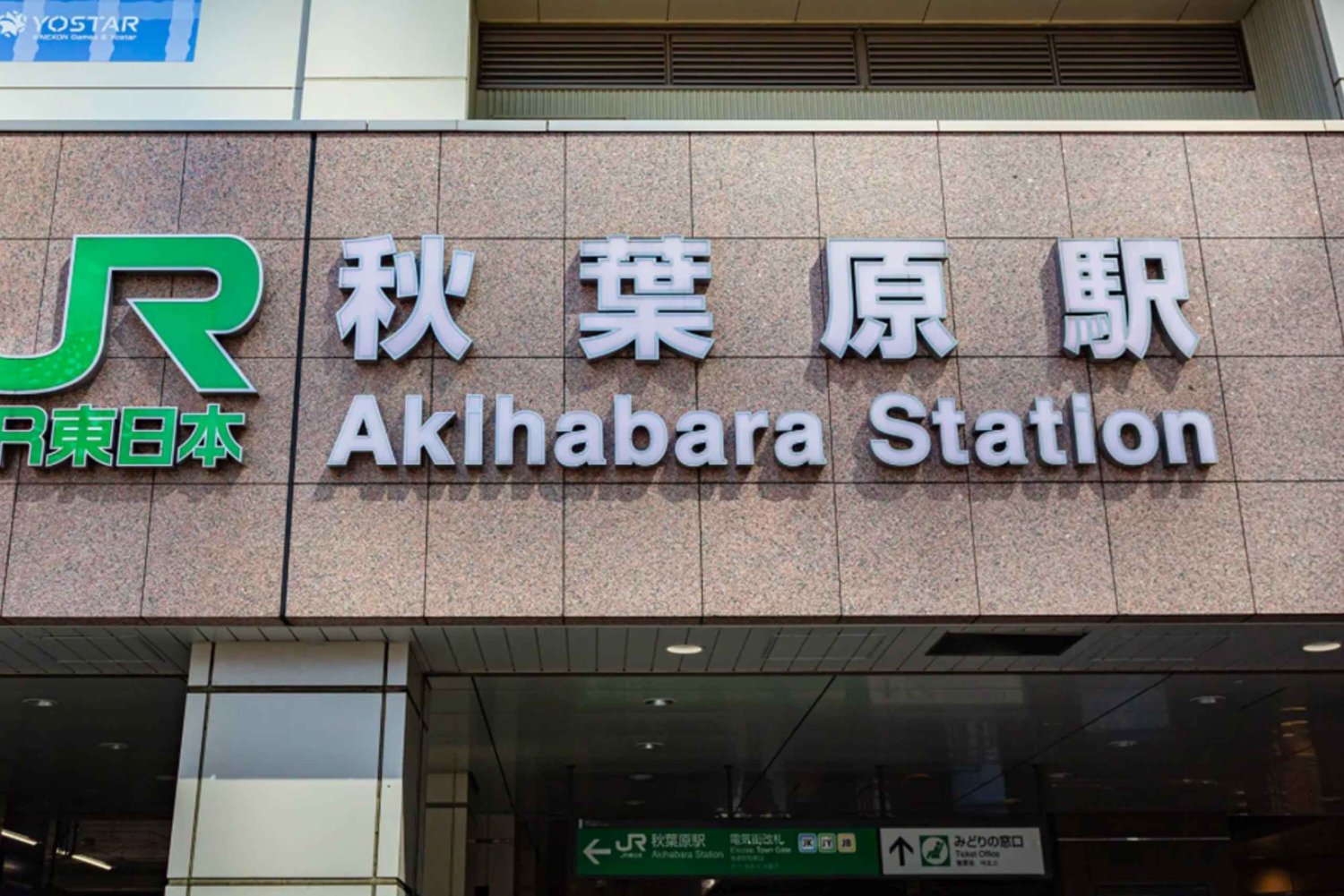 Tokyo: Privat tur i Akihabara med anime och maid café