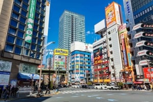 Tokyo: Privat tur i Akihabara med anime och maid café