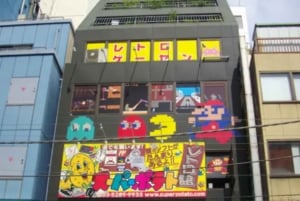 Tokyo: Privat tur i Akihabara med anime och maid café