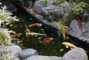 Tokio: caligrafía privada y meditación con un monje