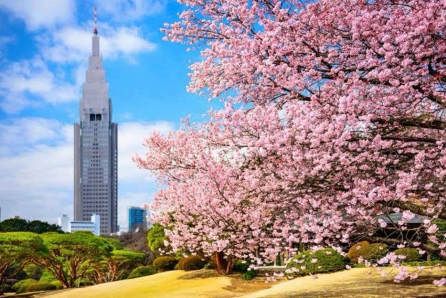 Tokio: privétour met ophaalservice vanaf je hotel en terugbrengservice