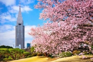 Tokio: Privétour met ophaal- en terugbrengservice vanaf je hotel