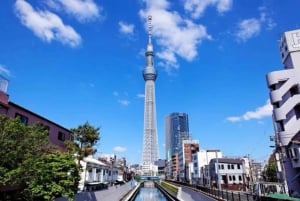 Tokio: Privétour met ophaal- en terugbrengservice vanaf je hotel