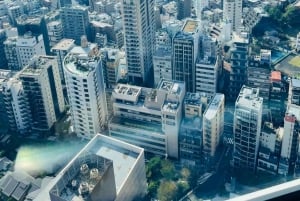 Tokio: Privétour met ophaal- en terugbrengservice vanaf je hotel