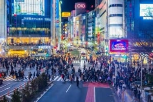 Tokio: Privétour met ophaal- en terugbrengservice vanaf je hotel