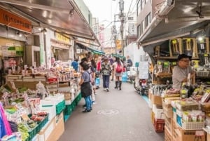 Tokio: Privétour met ophaal- en terugbrengservice vanaf je hotel