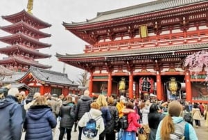 Tokio: Privétour met ophaal- en terugbrengservice vanaf je hotel