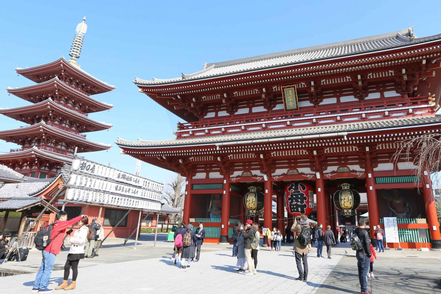 Tokyo: Private City Highlights Tour with Local Guide