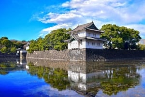 Tokyo: Private City Highlights Tour with Local Guide