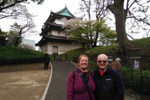 Tokyo: Private City Highlights Tour with Local Guide