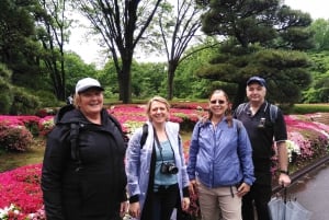 Tokyo: Private City Highlights Tour with Local Guide