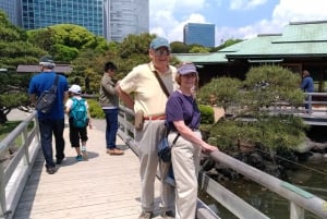 Tokyo: Private City Highlights Tour with Local Guide