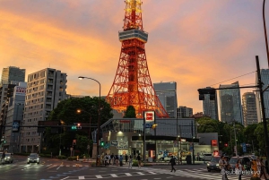 Tour privato della città di Tokyo con guida in inglese