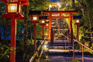 Tour privato della città di Tokyo con guida in inglese