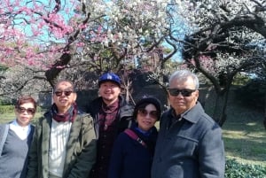 Tokyo: Private City Highlights Tour with Local Guide