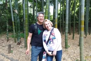 Tokyo: Private City Highlights Tour with Local Guide