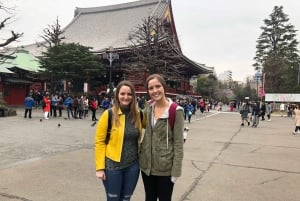 Tokyo: Private City Highlights Tour with Local Guide
