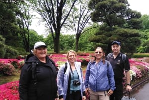 Tokyo: Private City Highlights Tour with Local Guide