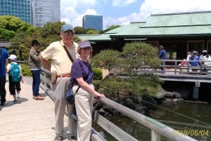 Tokyo: Private City Highlights Tour with Local Guide