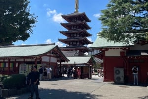 Tokyo: Private City Highlights Tour