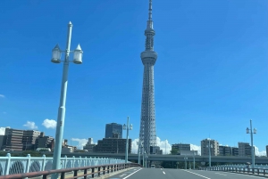 Tokyo: Private City Highlights Tour