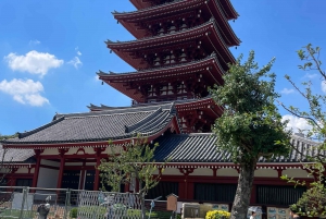 Tokyo: Private City Highlights Tour