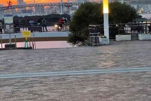 Tokyo: Private City Highlights Tour