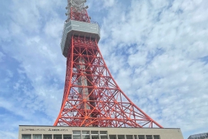 Tokyo: Private City Highlights Tour