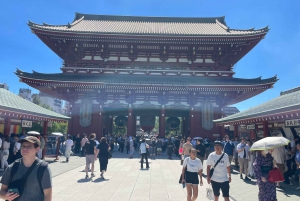 Tokyo: Private City Highlights Tour