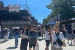 Tokyo: Private City Highlights Tour