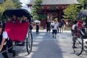 Tokyo: Private City Highlights Tour