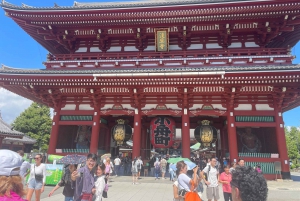 Tokyo: Private City Highlights Tour