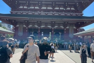 Tokyo: Private City Highlights Tour