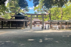 Tokyo: Private City Highlights Tour