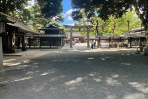 Tokyo: Private City Highlights Tour