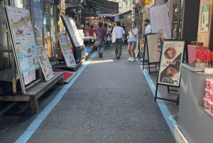 Tokyo: Private City Highlights Tour