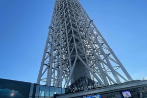 Tokyo: Private City Highlights Tour