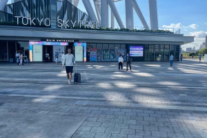 Tokyo: Private City Highlights Tour