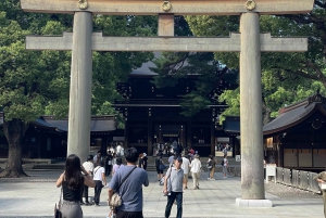 Tokyo: Private City Highlights Tour