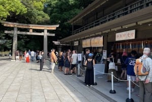 Tokyo: Private City Highlights Tour