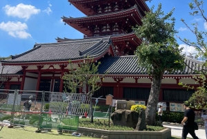 Tokio: Stadsrondleiding in een privétour