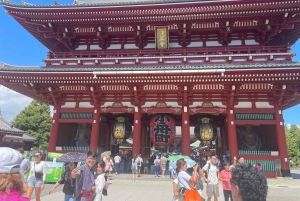 Tokio: Stadsrondleiding in een privétour