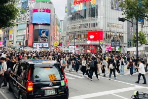 Tokio: Stadsrondleiding in een privétour