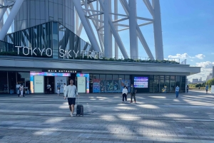 Tokio: Stadsrondleiding in een privétour