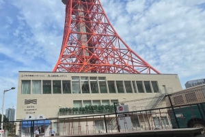 Tokio: Stadsrondleiding in een privétour